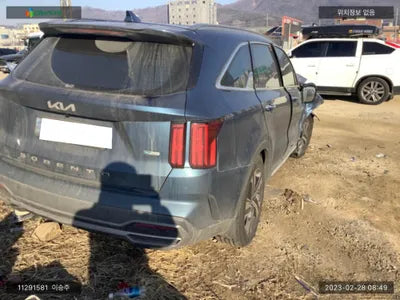 2021 Kia Sorento KNARK81GBNA061662 VIN:KNARK81GBNA061662