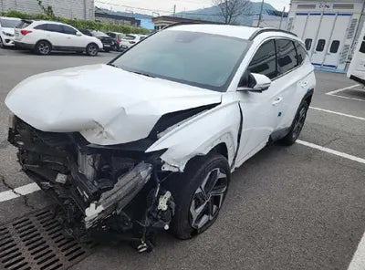 2021 Hyundai Tucson KMHJE81BGMU006030 VIN:KMHJE81BGMU006030