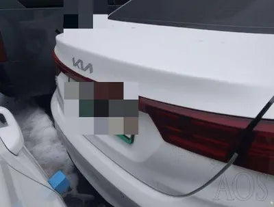 2021 BMW Z1 VIN: