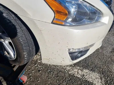 2015 Nissan Altima 1N4AL3AP5FC196295 VIN:1N4AL3AP5FC196295