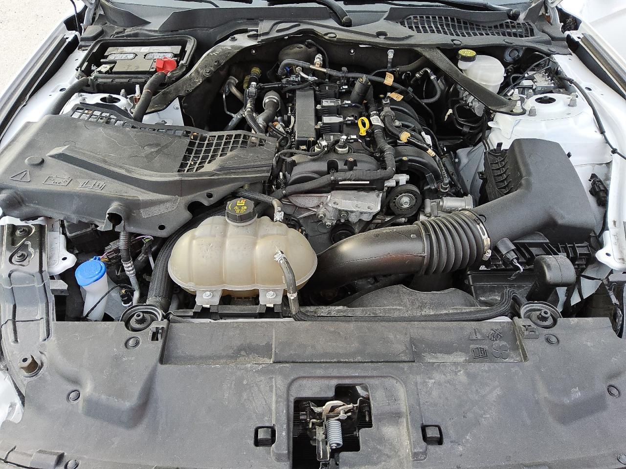2022 FORD MUSTANG  VIN:1FATP8UH0N5129427