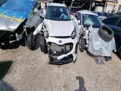 2019 Kia Sportage KNAP6812GKK686452 VIN:KNAP6812GKK686452