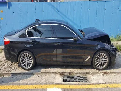 2019 BMW 520 WBAJF3101KBS69891 VIN:WBAJF3101KBS69891