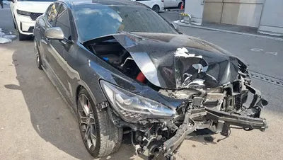 2019 Kia Stinger KNAE751CBKS062844 VIN:KNAE751CBKS062844