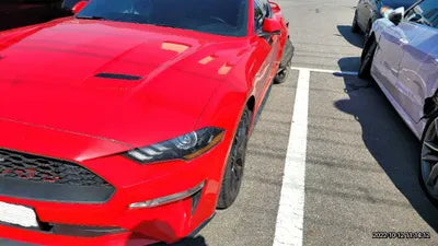 2020 Ford Mustang 1FA6P8TH4L5128874 VIN:1FA6P8TH4L5128874