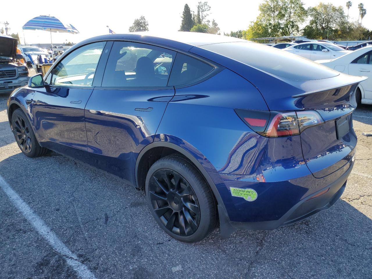 2023 TESLA MODEL Y  VIN:7SAYGDEEXPA057571