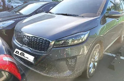 2019 Kia Sorento KNAPS81BBKA546648 VIN:KNAPS81BBKA546648