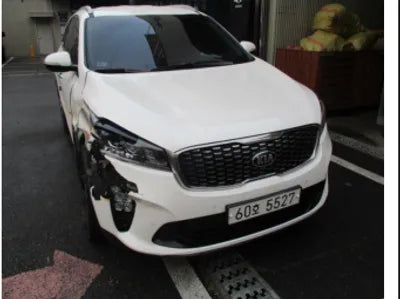 2018 Kia Sorento KNAPS81ABJA444721 VIN:KNAPS81ABJA444721