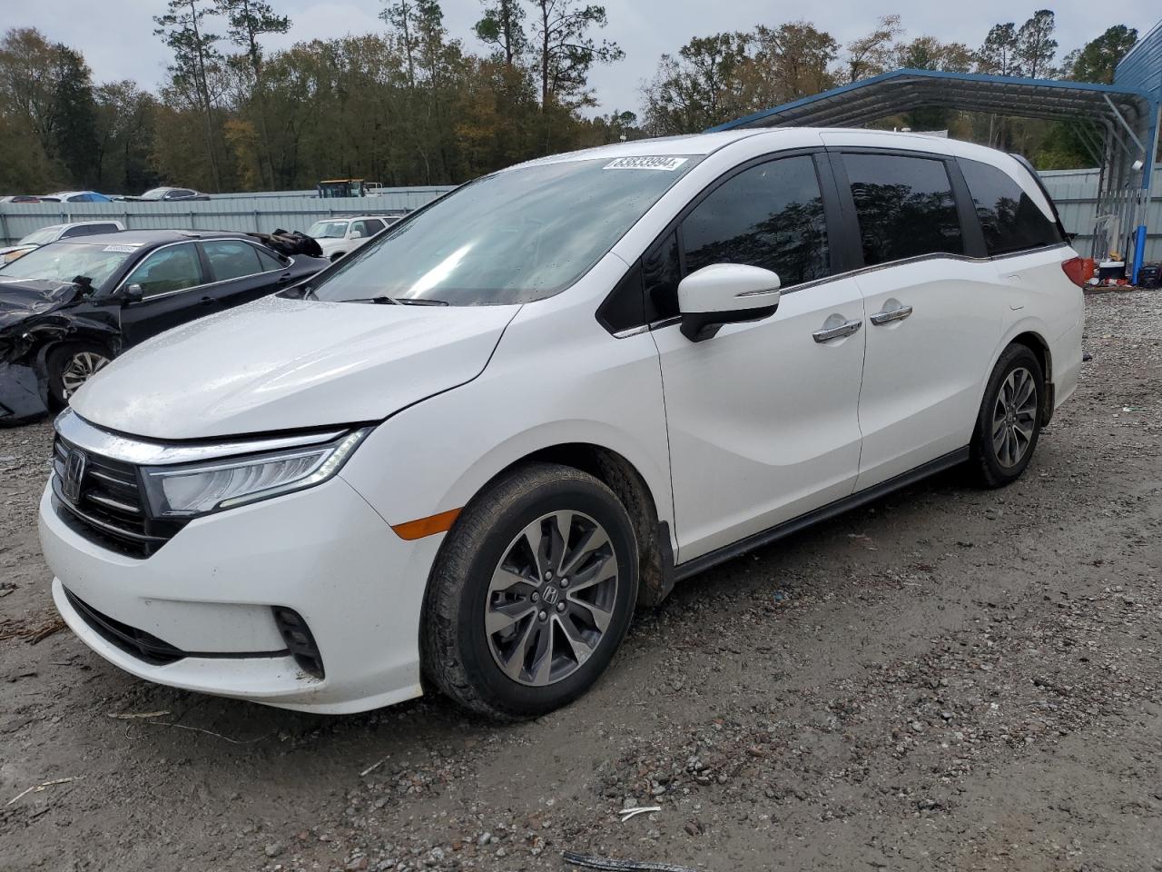 2024 HONDA ODYSSEY EXL VIN:5FNRL6H66RB018964