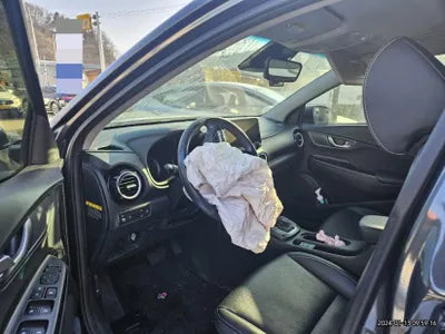 2020 Hyundai Kona KMHK381EGLU009425 VIN:KMHK381EGLU009425