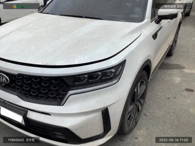 2020 Kia Sorento KNARL81GDMA028217 VIN:KNARL81GDMA028217