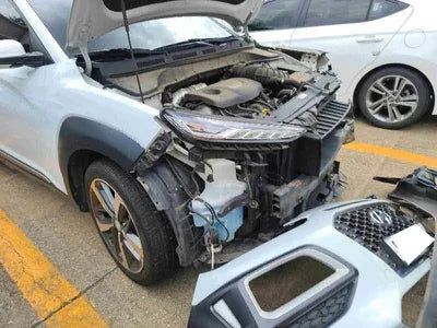 2019 Hyundai Kona KMHK4815GKU351666 VIN:KMHK4815GKU351666
