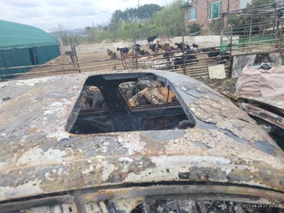 2019 Genesis G90 VIN: