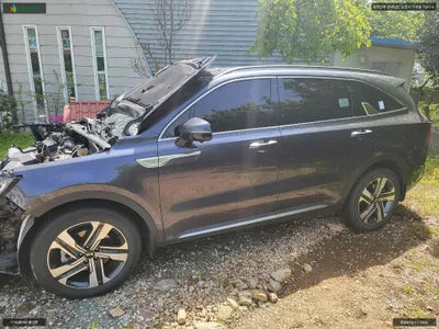 2021 Kia Sorento KNARK81GDMA031323 VIN:KNARK81GDMA031323