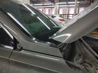 2019 Hyundai Santa FE KMHS381BBLU262254 VIN:KMHS381BBLU262254