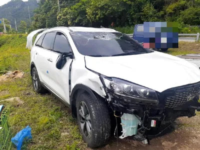 2019 Kia Sorento 657KMKNAPG81ABKA5 VIN:657KMKNAPG81ABKA5