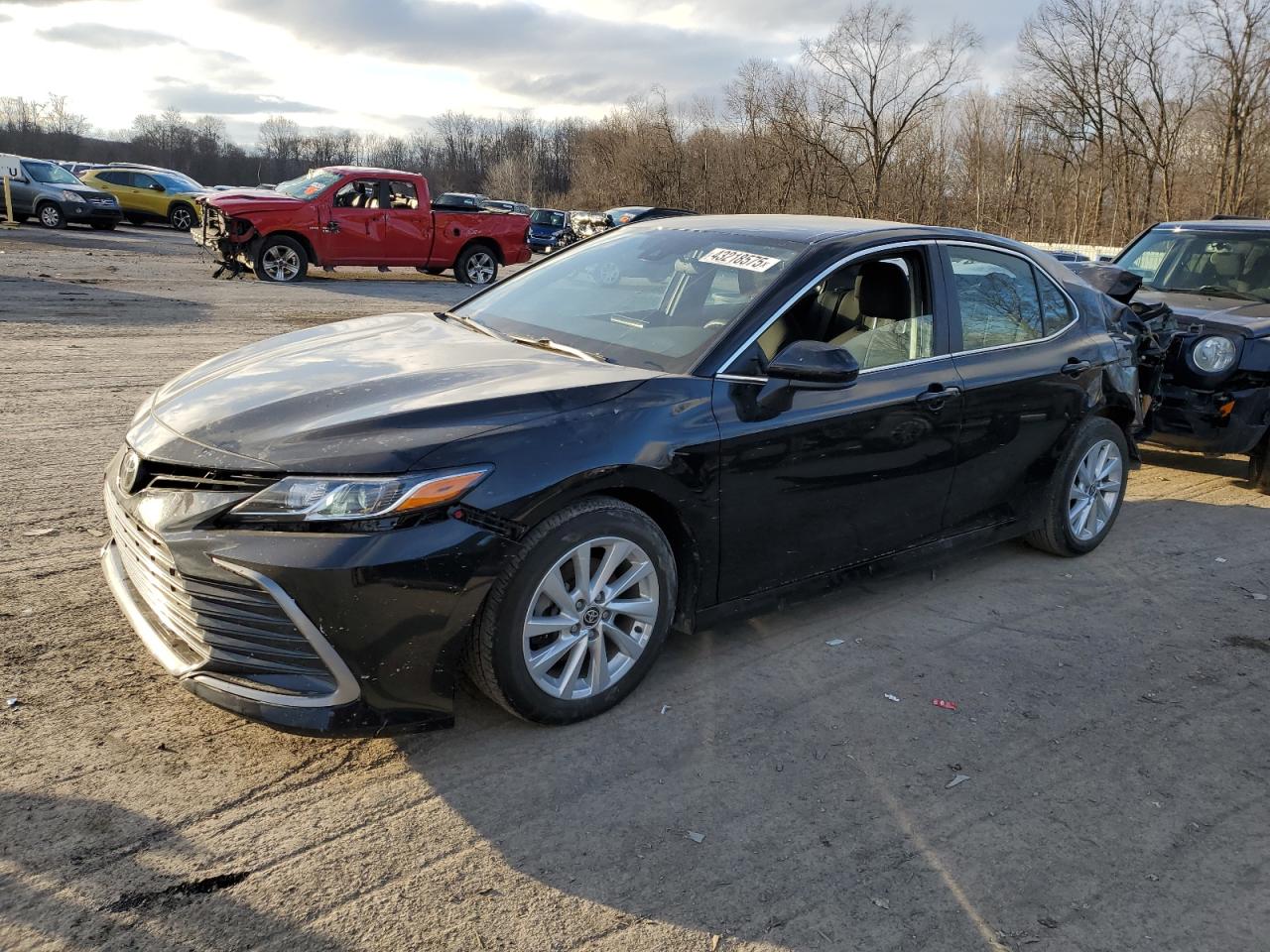 2023 TOYOTA CAMRY LE VIN:4T1C11AK4PU171686