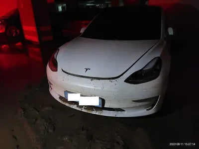 2020 Tesla Model 3 5YJ3E1EB9LF750825 VIN:5YJ3E1EB9LF750825