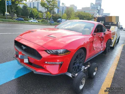 2020 Ford Mustang 600KM1FA6P8THXL51 VIN:600KM1FA6P8THXL51