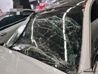 2022 Mercedes-Benz E 350 W1KZF8GBXNB011231 VIN:W1KZF8GBXNB011231