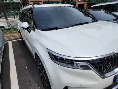 2021 Kia Carnival KNANE81BBMS079197 VIN:KNANE81BBMS079197