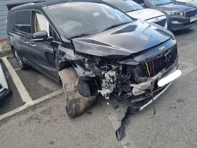 2019 Kia Carnival KNAME81ABKS593799 VIN:KNAME81ABKS593799