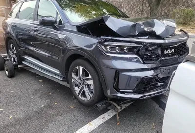 2022 Kia Sorento KNARG81GDNA105395 VIN:KNARG81GDNA105395