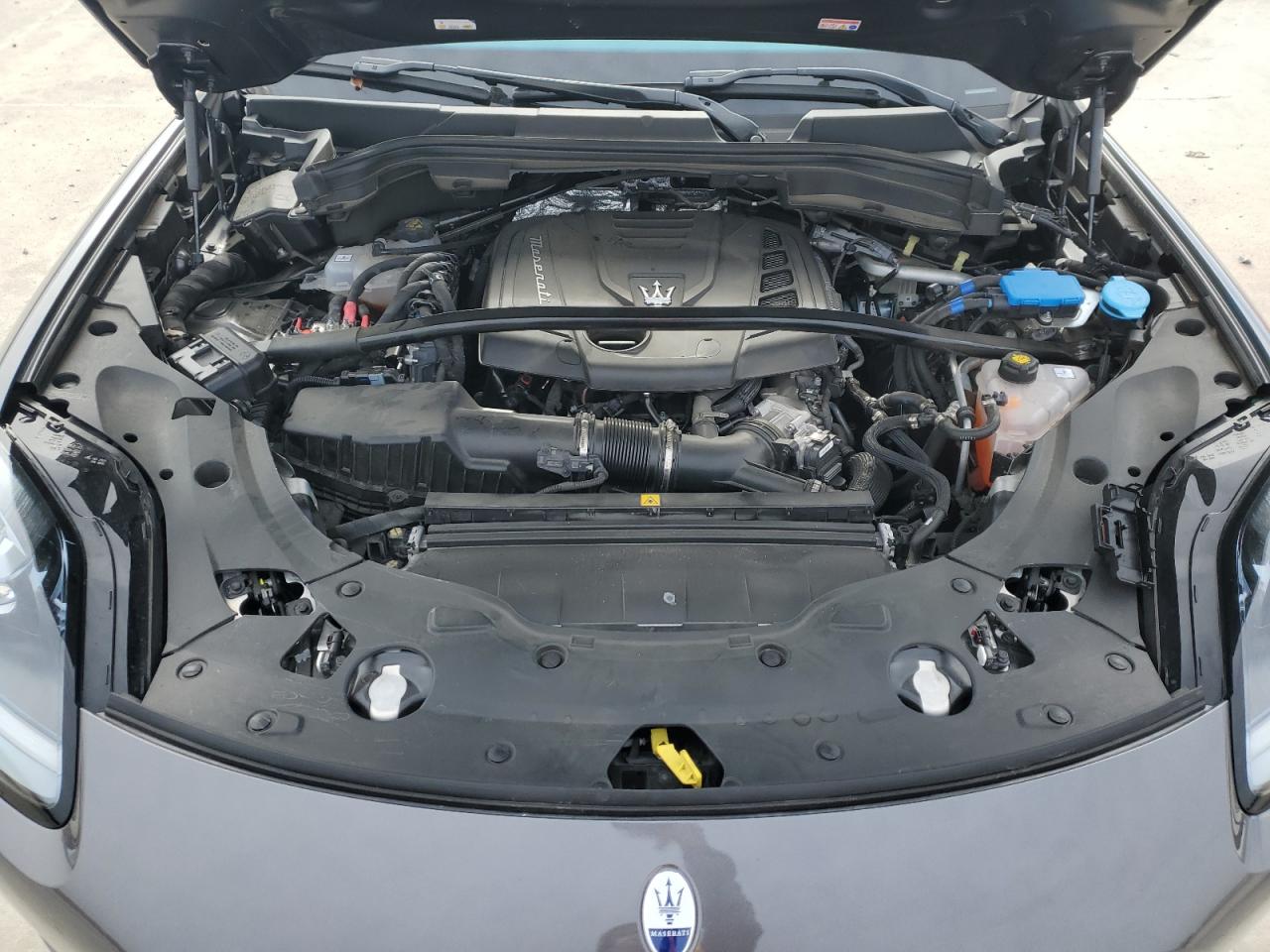 2023 MASERATI GRECALE MODENA VIN:ZN682AVM8P7434729