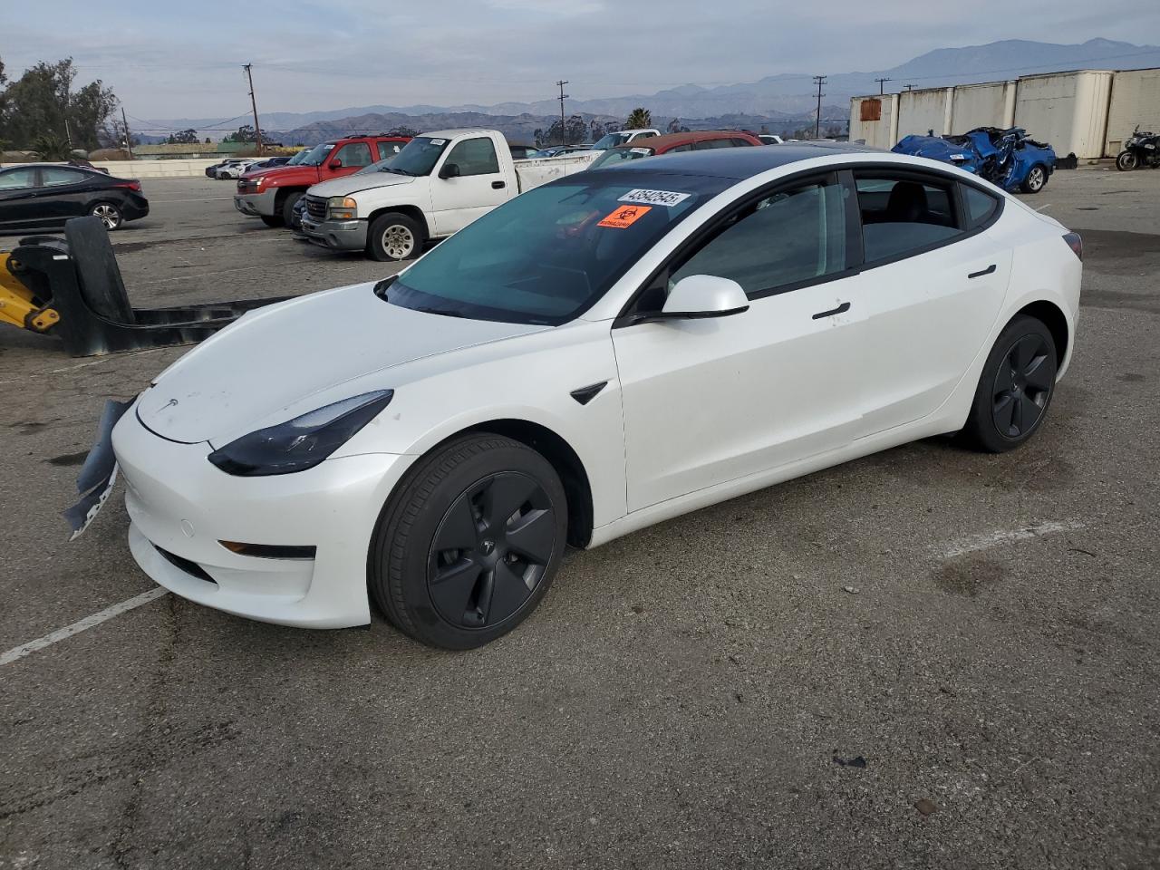 2023 TESLA MODEL 3  VIN:5YJ3E1EA7PF406584