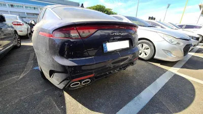 2021 Kia Stinger KNAE351DBMS096955 VIN:KNAE351DBMS096955
