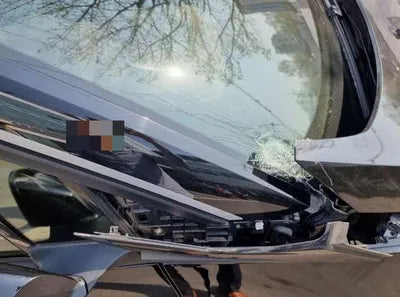 2019 BMW 120 WBY8P2103K7D97272 VIN:WBY8P2103K7D97272