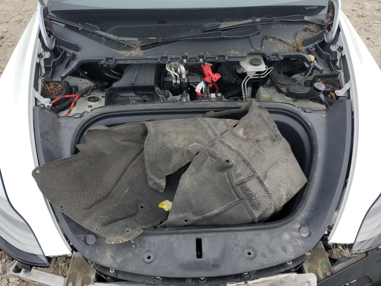 2023 TESLA MODEL Y  VIN:7SAYGDEE0PF674576