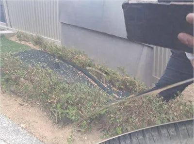 2021 Genesis G80 VIN: