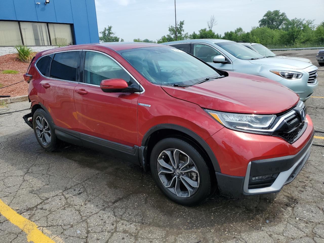 2022 HONDA CR-V EX VIN:5J6RT6H56NL004068