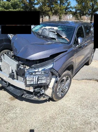 2021 Hyundai Santa FE KMHS281HHMU324774 VIN:KMHS281HHMU324774