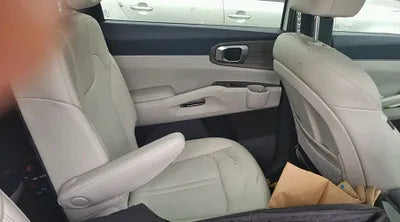 2021 Kia Sorento KNARH81GBMA021079 VIN:KNARH81GBMA021079