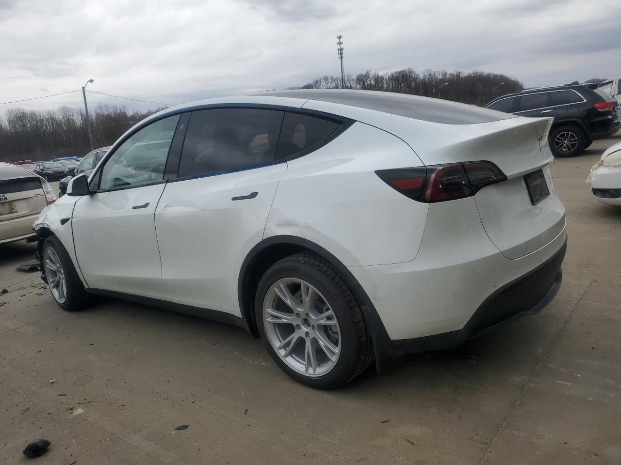 2022 TESLA MODEL Y  VIN:7SAYGDEE5NF571179