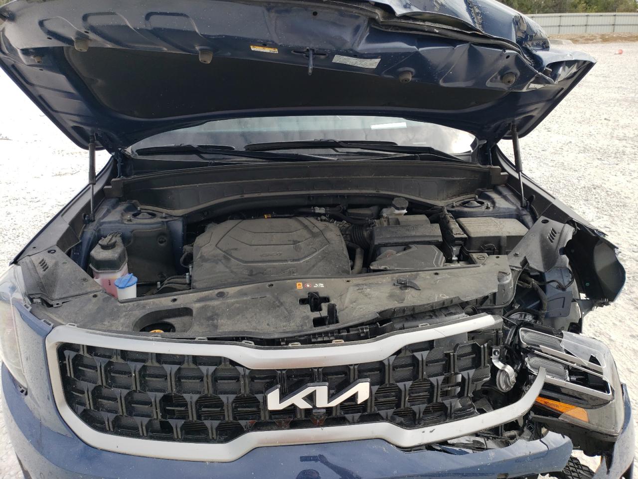 2023 KIA TELLURIDE SX VIN:5XYP5DGC9PG409643