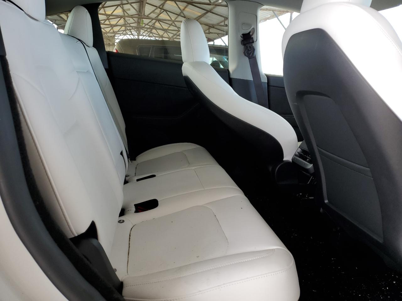 2024 TESLA MODEL Y  VIN:7SAYGDEE9RA225736