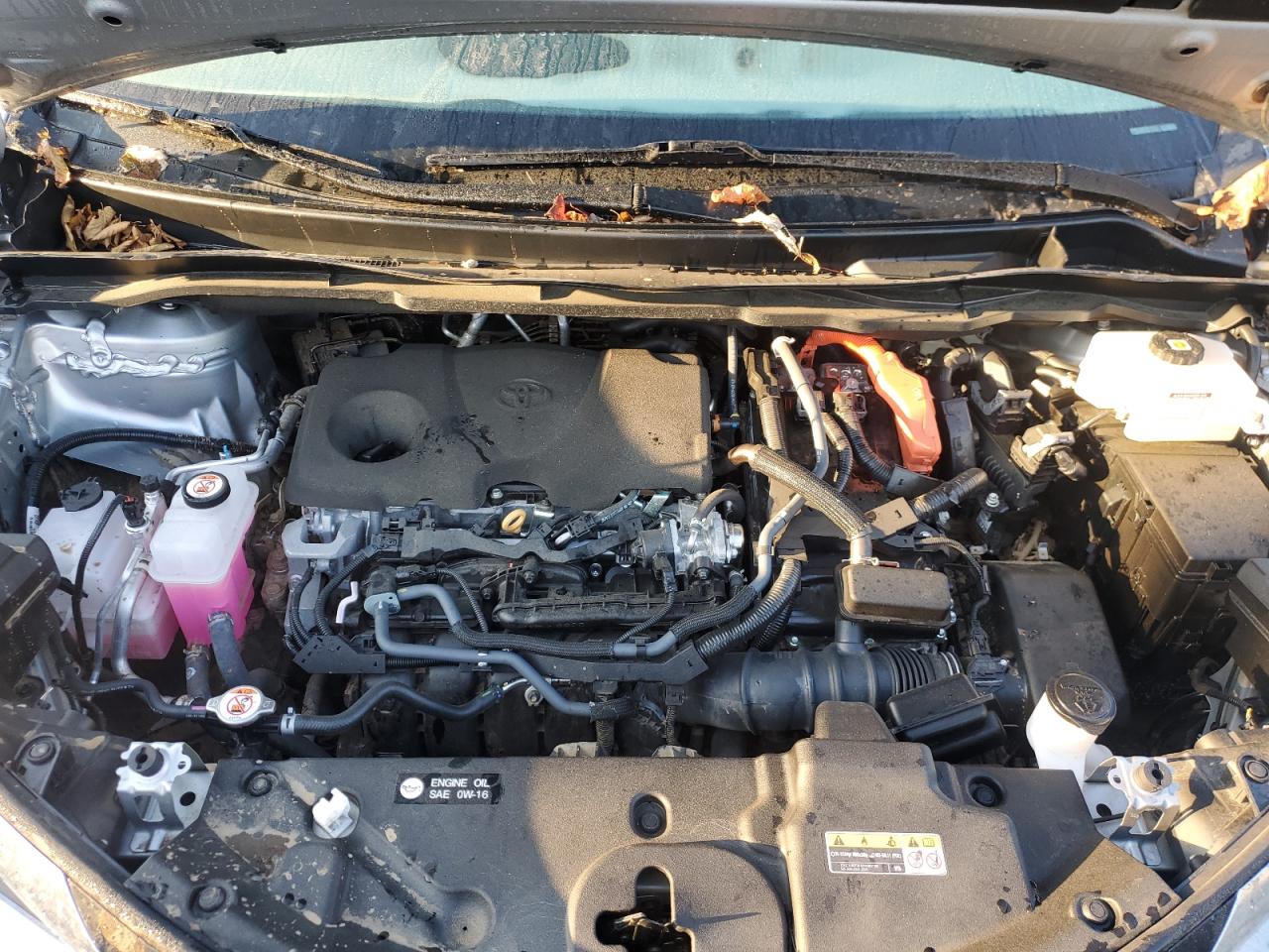 2023 TOYOTA SIENNA LE VIN:5TDKSKFC7PS095048