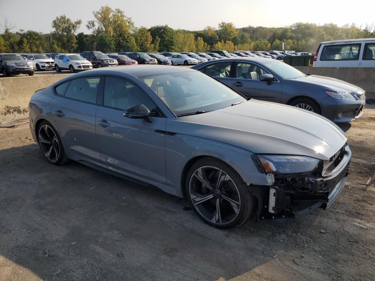 2024 AUDI RS5  VIN:WUAAWCF58RA902445