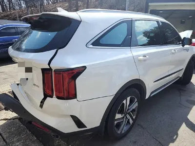 2021 Kia Sorento KNARF81GDMA045087 VIN:KNARF81GDMA045087