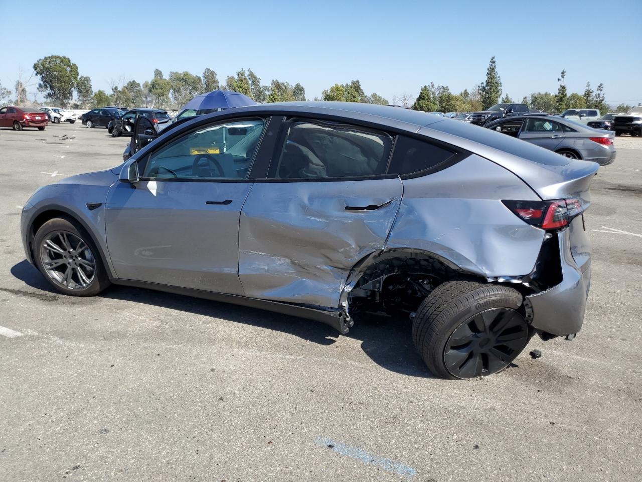 2024 TESLA MODEL Y  VIN:7SAYGDEE8RA299794