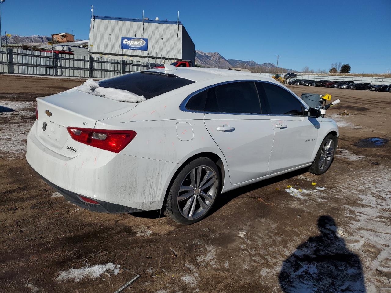 2023 CHEVROLET MALIBU LT VIN:1G1ZD5ST9PF196245
