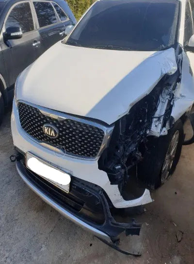 2017 Kia Sorento KNAPS81BBHA333163 VIN:KNAPS81BBHA333163