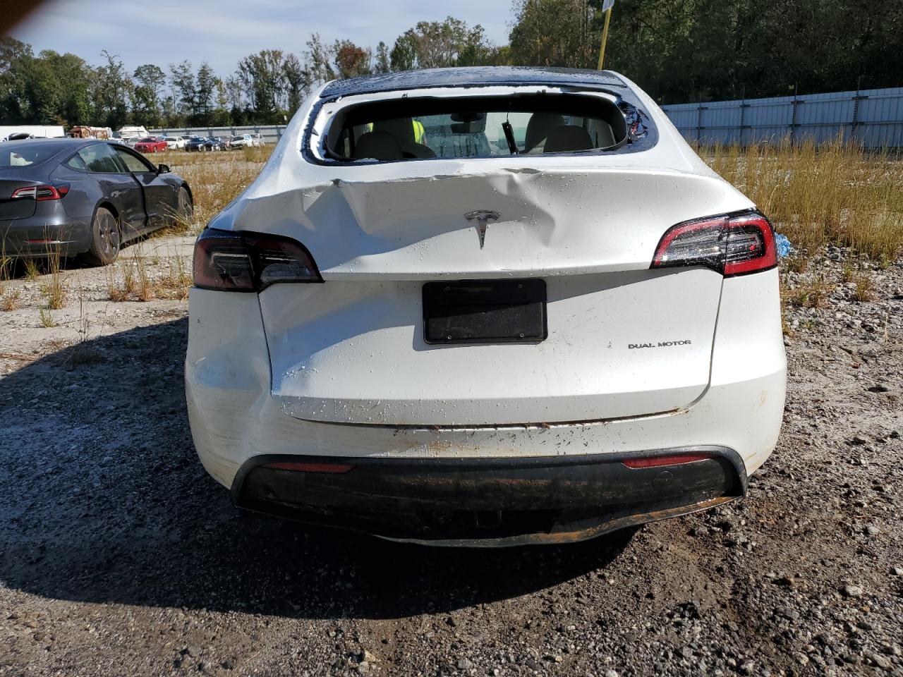 2024 TESLA MODEL Y  VIN:7SAYGDEE7RF993704