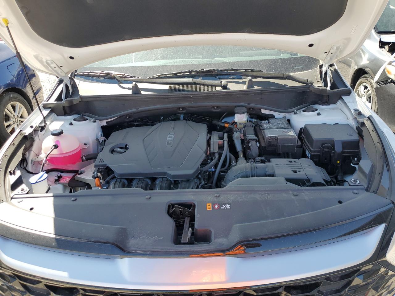 2024 KIA SPORTAGE EX VIN:5XYK3CDF0RG203137