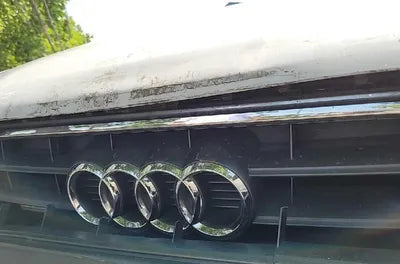 2015 Audi A4 WAUZZZ8K7FA081179 VIN:WAUZZZ8K7FA081179