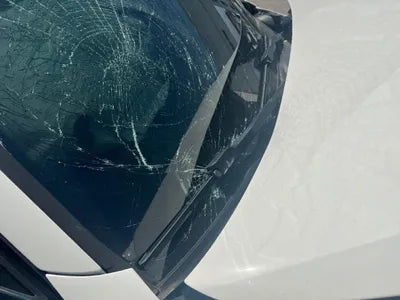 2019 BMW 330 WBA5R3103KAE82391 VIN:WBA5R3103KAE82391