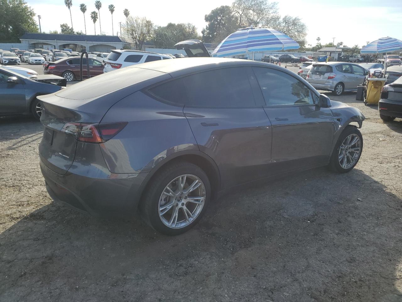 2023 TESLA MODEL Y  VIN:7SAYGDEE2PF910726